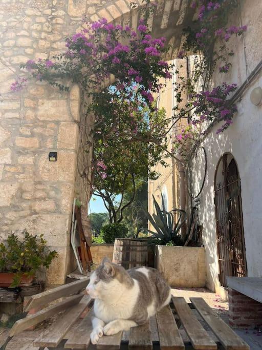 Casa Masseria Dell'800 Gargano. Le Mignole Monte Sant'Angelo Exterior photo
