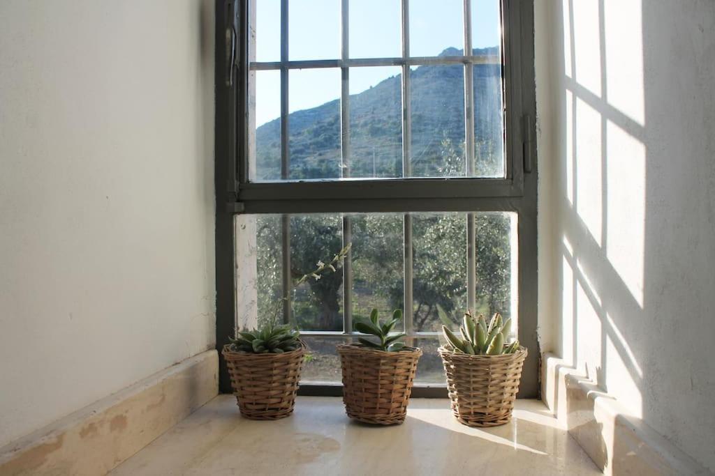 Casa Masseria Dell'800 Gargano. Le Mignole Monte Sant'Angelo Exterior photo