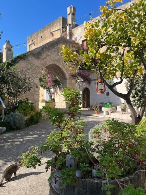 Casa Masseria Dell'800 Gargano. Le Mignole Monte Sant'Angelo Exterior photo